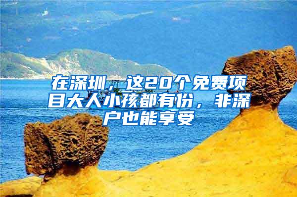 在深圳，这20个免费项目大人小孩都有份，非深户也能享受
