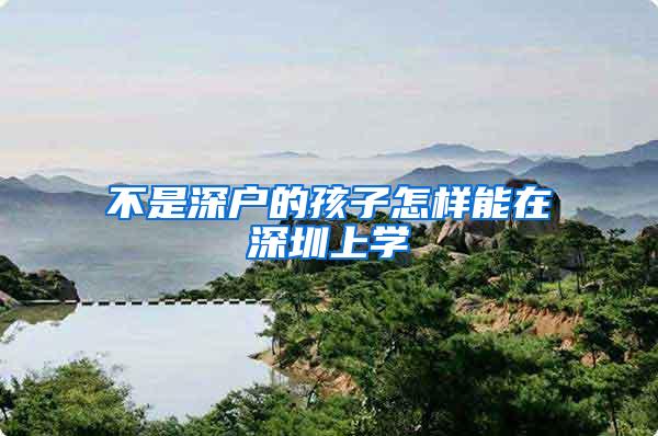 不是深户的孩子怎样能在深圳上学