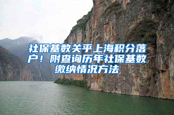 社保基数关乎上海积分落户！附查询历年社保基数缴纳情况方法