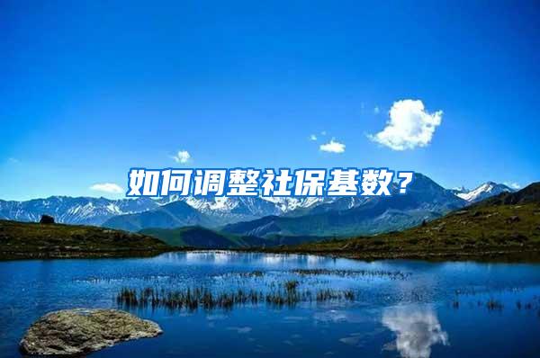 如何调整社保基数？