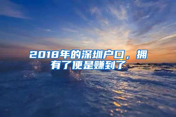 2018年的深圳户口，拥有了便是赚到了
