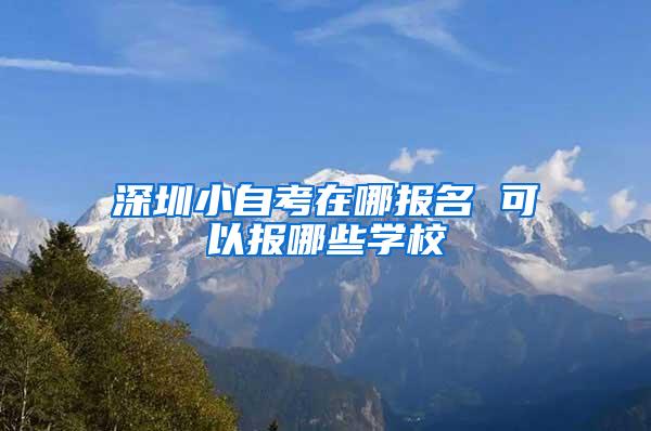 深圳小自考在哪报名 可以报哪些学校