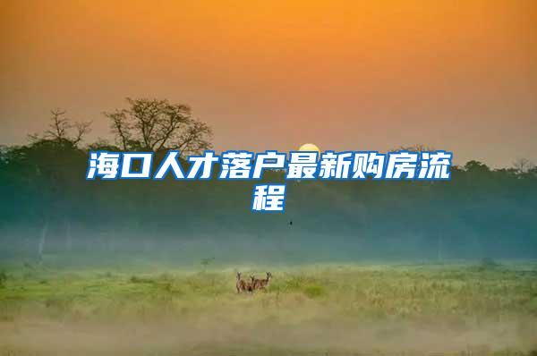 海口人才落户最新购房流程