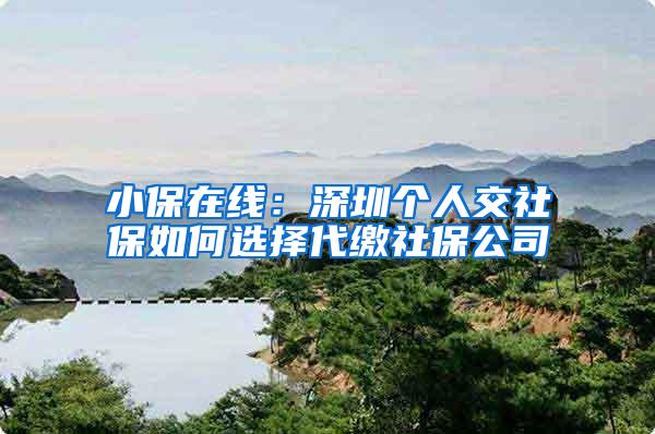 小保在线：深圳个人交社保如何选择代缴社保公司