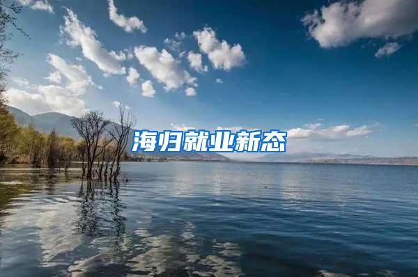 海归就业新态