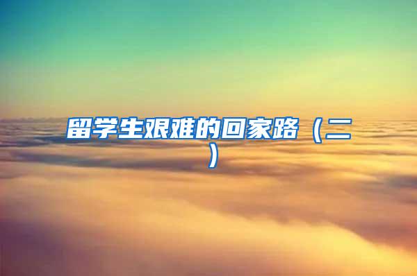 留学生艰难的回家路（二）