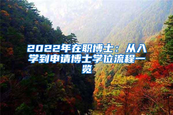 2022年在职博士：从入学到申请博士学位流程一览