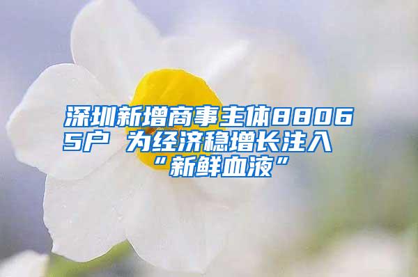 深圳新增商事主体88065户 为经济稳增长注入“新鲜血液”