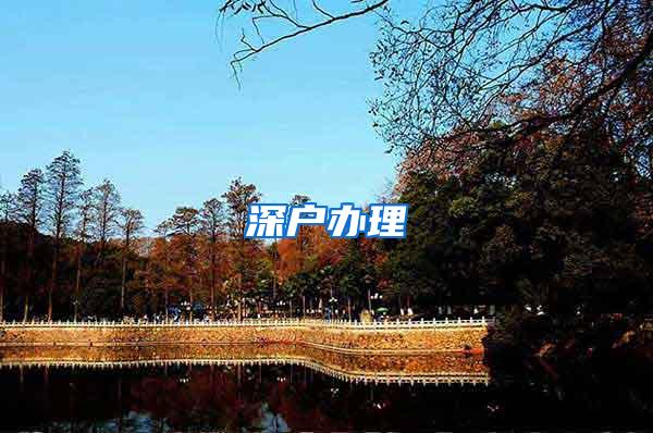 深户办理