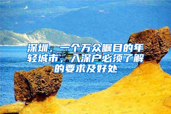 深圳，一个万众瞩目的年轻城市，入深户必须了解的要求及好处