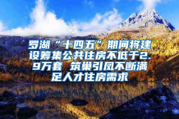 罗湖“十四五”期间将建设筹集公共住房不低于2.9万套 筑巢引凤不断满足人才住房需求