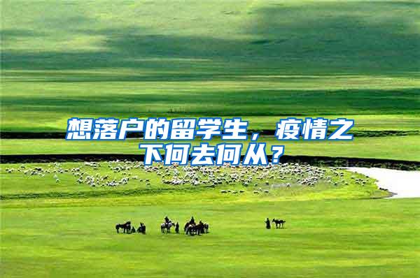 想落户的留学生，疫情之下何去何从？