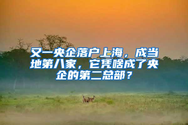 又一央企落户上海，成当地第八家，它凭啥成了央企的第二总部？