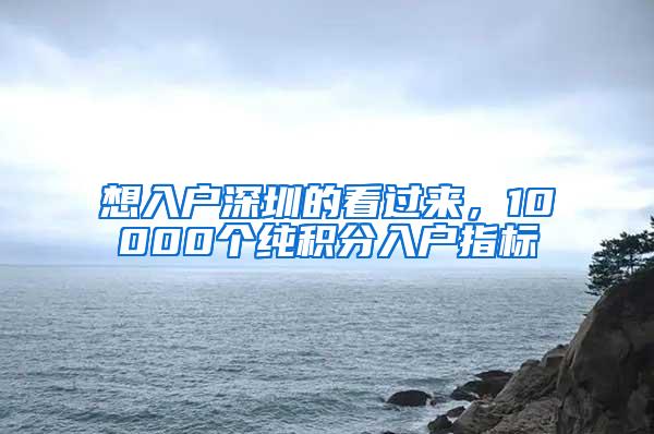 想入户深圳的看过来，10000个纯积分入户指标