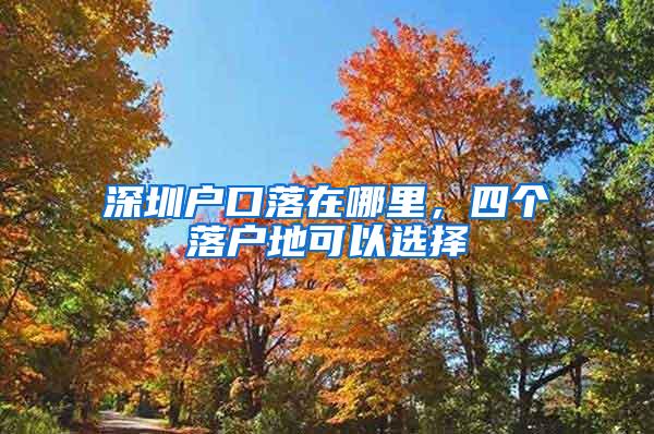 深圳户口落在哪里，四个落户地可以选择