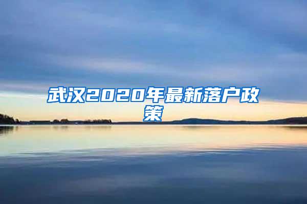 武汉2020年最新落户政策