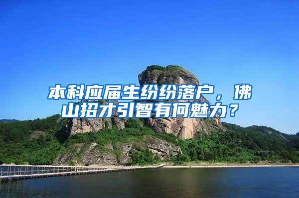 本科应届生纷纷落户，佛山招才引智有何魅力？