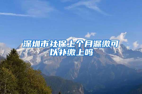 深圳市社保上个月漏缴可以补缴上吗