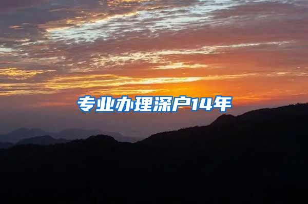 专业办理深户14年