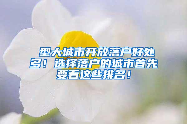 Ⅰ型大城市开放落户好处多！选择落户的城市首先要看这些排名！