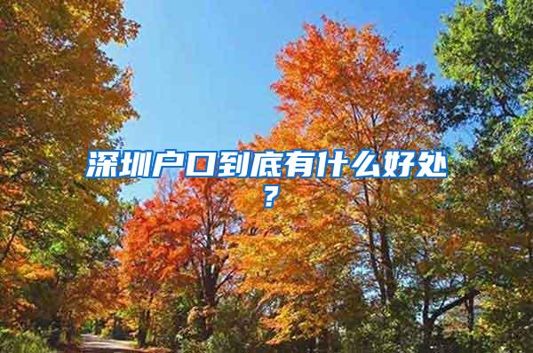 深圳户口到底有什么好处？