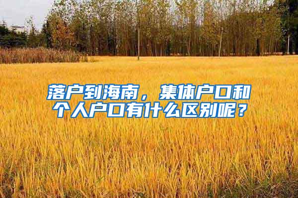 落户到海南，集体户口和个人户口有什么区别呢？