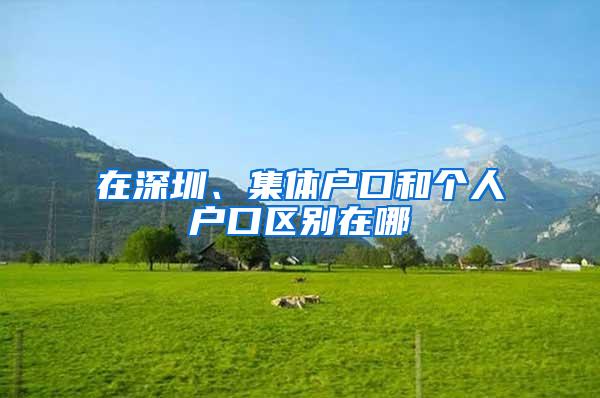 在深圳、集体户口和个人户口区别在哪