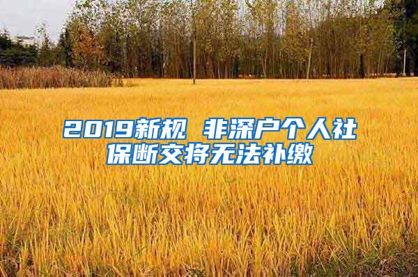 2019新规 非深户个人社保断交将无法补缴