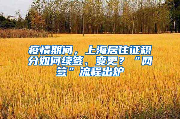 疫情期间，上海居住证积分如何续签、变更？“网签”流程出炉