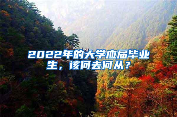 2022年的大学应届毕业生，该何去何从？