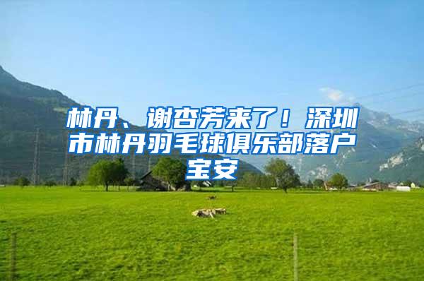 林丹、谢杏芳来了！深圳市林丹羽毛球俱乐部落户宝安