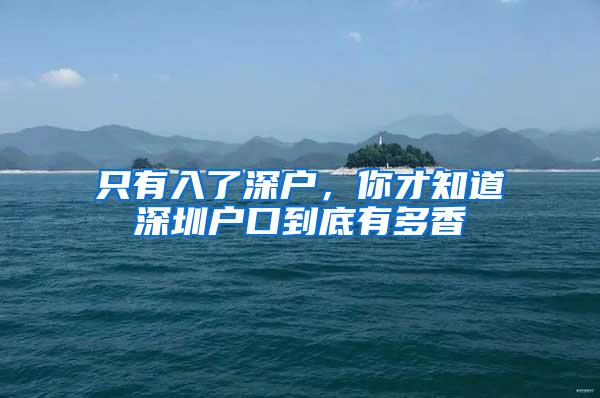 只有入了深户，你才知道深圳户口到底有多香