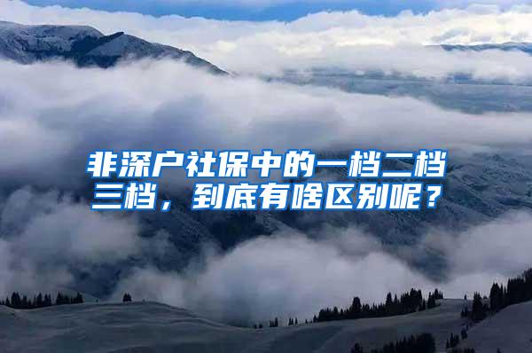 非深户社保中的一档二档三档，到底有啥区别呢？