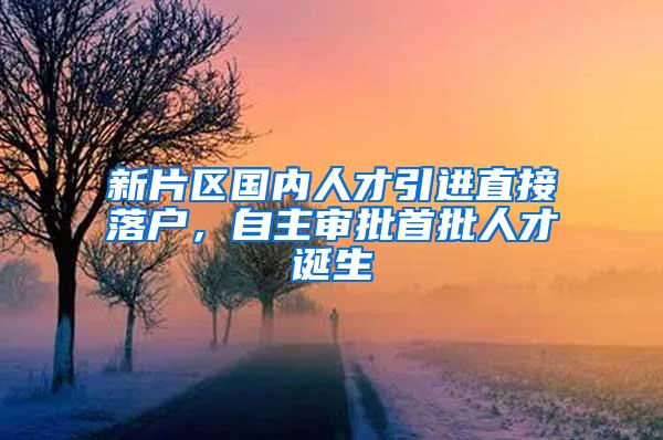 新片区国内人才引进直接落户，自主审批首批人才诞生