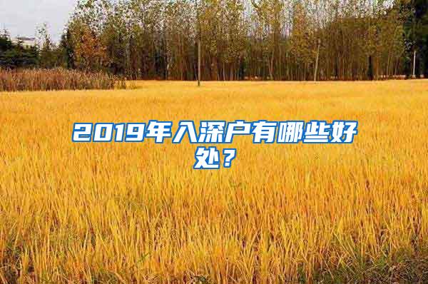 2019年入深户有哪些好处？