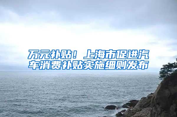 万元补贴！上海市促进汽车消费补贴实施细则发布
