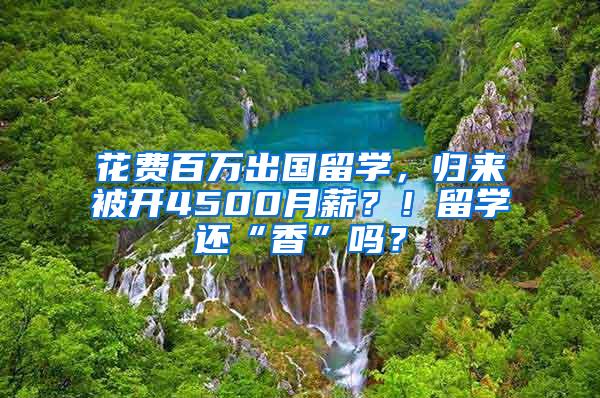 花费百万出国留学，归来被开4500月薪？！留学还“香”吗？