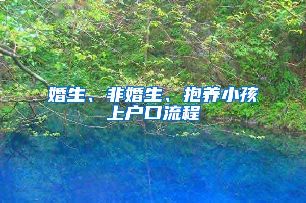 婚生、非婚生、抱养小孩上户口流程
