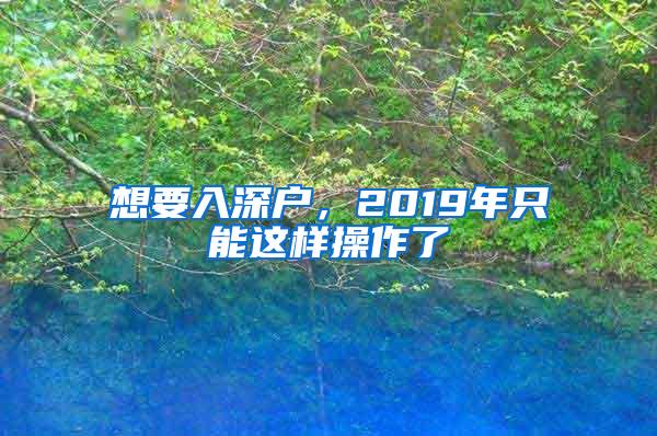 想要入深户，2019年只能这样操作了