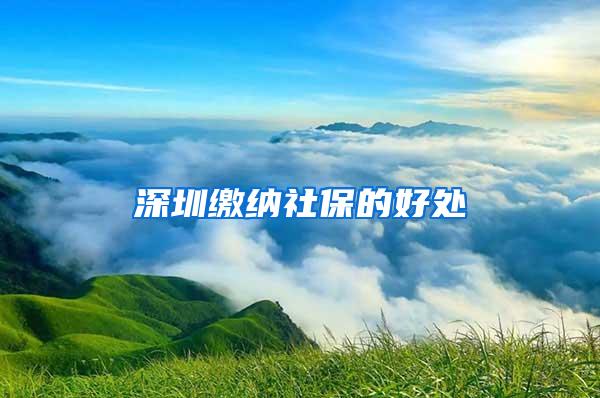 深圳缴纳社保的好处