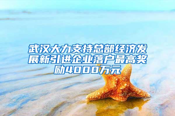 武汉大力支持总部经济发展新引进企业落户最高奖励4000万元