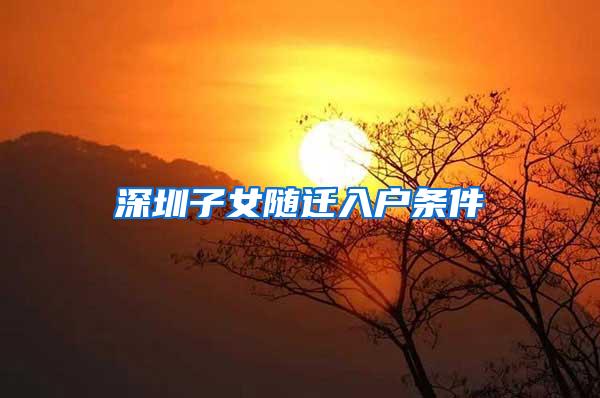 深圳子女随迁入户条件