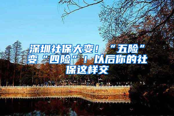 深圳社保大变！“五险”变“四险”！以后你的社保这样交