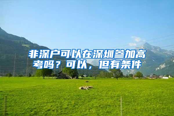 非深户可以在深圳参加高考吗？可以，但有条件