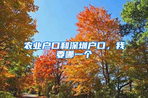 农业户口和深圳户口，我要哪一个