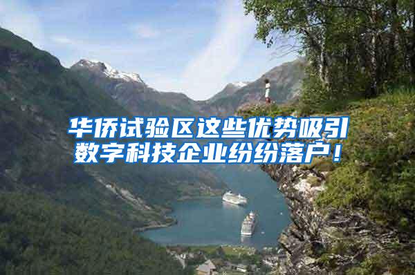 华侨试验区这些优势吸引数字科技企业纷纷落户！
