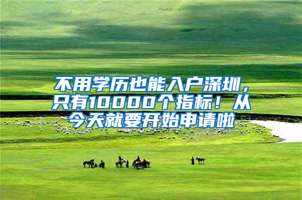 不用学历也能入户深圳，只有10000个指标！从今天就要开始申请啦