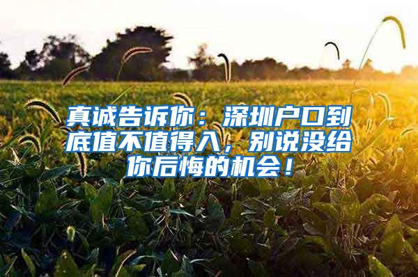 真诚告诉你：深圳户口到底值不值得入，别说没给你后悔的机会！