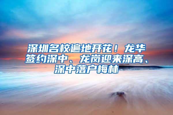 深圳名校遍地开花！龙华签约深中、龙岗迎来深高、深中落户梅林