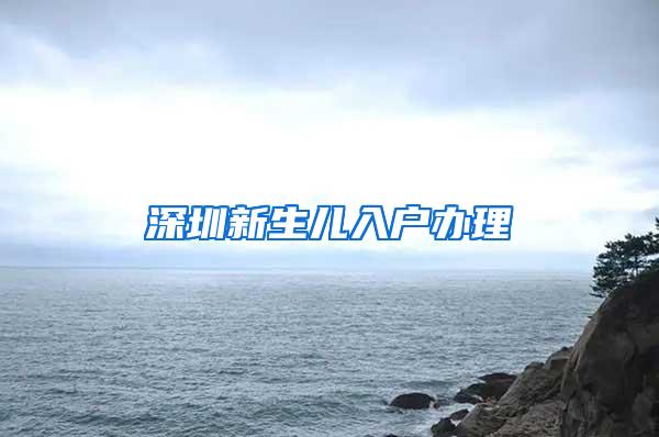 深圳新生儿入户办理